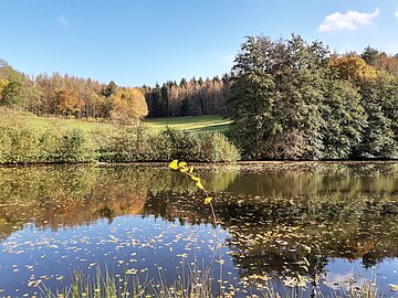 fall colours reflected in pond