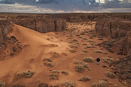 Le désert de Ghardaïa.jpg