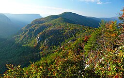 Utsikt från Blue Ridge Parkway, en naturskön led i Appalacherna i västra delen av delstaten.