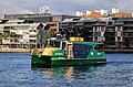 Blackwattle Bay ferry services, Goat Island (Port Jackson)