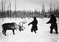 Saami met rendier ca. 1890
