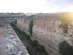 Looking towards the rear of the battery along the right hand ditch.