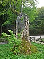 Tree of the apparition of the Virgin Mary