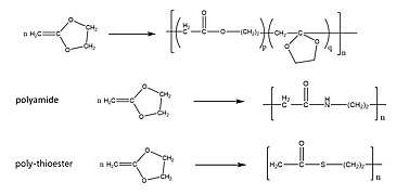 Type 1 monomer(2).jpg