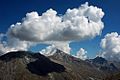 Cumulus mediocris, med enkelte cumulus congestus i bakgrunnen.