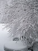 Winter Patio Hancock Village Brookline Town Massachusetts New England.jpg