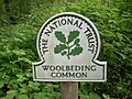 Woolbeding Common