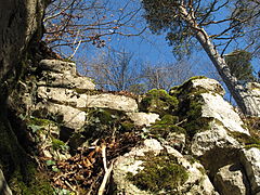 Bild 5: Südwestlicher Futtermauerrest der Unterburg