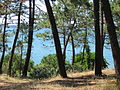 Spiaggia di Pereire