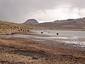 Lago Chungará.