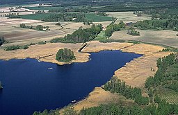 Boskulla vid viken Övre sjön i nordvästra Avern maj 1992.