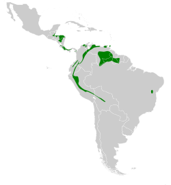 Distribución geográfica del colibrí pardo.