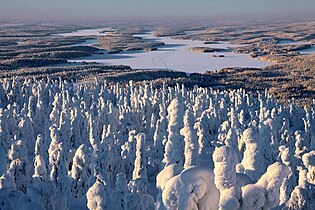 IIjärvi uzda