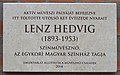 Lenz Hedvig