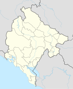 Mapa konturowa Czarnogóry, w centrum znajduje się punkt z opisem „Kolašin”