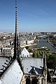 Сигнатурка над средокрестием, Собор парижской Богоматери