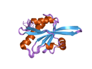 2hd7: Solution structure of C-terminal domain of twinfilin-1.