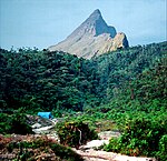 A mountain with a pointy summit rising above rainforest