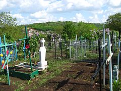 Sectorul Buiucani, Chisinau, Moldova - panoramio (103).jpg