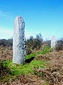 Les menhirs de Troanigou.