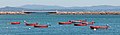 11 Dornas no porto de Aguiño. Ribeira. Galiza R31 uploaded by Lmbuga, nominated by ArionEstar