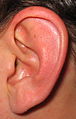 An w:ear