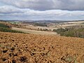 Horizon relativement ouvert sur le plateau de Gentioux : landes, prairies et forêt de résineux.