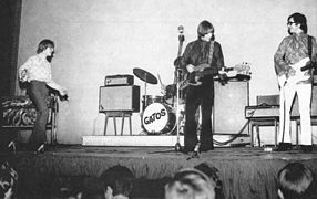 Los Gatos en vivo, circa 1968