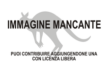 Immagine di Ilaria (zoologia) mancante