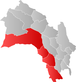 Map of Numedal with municipalities