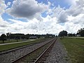 Palm St, RR Crossing looking WSW