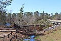 Seminole State Park tree damage