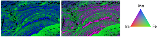 Bicolor (left) and tricolor (right) X-ray fluorescence maps of the distribution of Mn, Fe, and Ba in a ferromanganese nodule from Lake Baikal. Size = 5 mm (H) × 3 mm (V).[9]