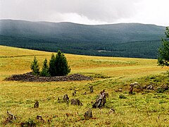 Tumulus Pazyryk.