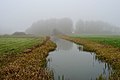 Oude meander Hunze in de Duunsche Landen