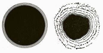 Anelli di Liesegang, radiazioni mitogenetiche ed effetto Stempell (G. Zirpolo, 1931).jpg