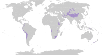 Mapa de distribución de praderas y matorrales de montaña