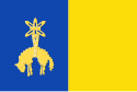 Vlag van Dison