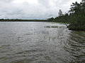 Lake Kalettomanlampi in Puolanka, seen from the southernmost shore towards northeast.