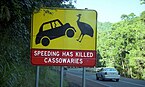 Дорожный знак, Кэрнс (Квинсленд), Квинсленд, Австралия