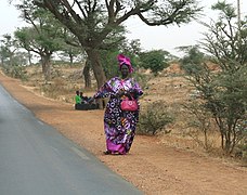 Savannah hitchhiking.jpg