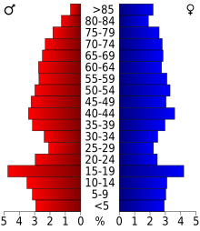 Schéma représentant la population du comté, par tranche d'âge. En rouge, à gauche, les femmes, en bleu à droite, les hommes.