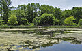 A pond located at "University Hills Park", College Park, Maryland USA