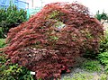 Botanic garden Liberec