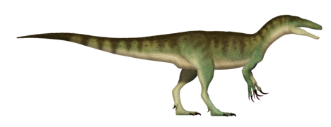 Australovenator UDL.png