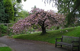 Birmingham Botanical Gardens - geograph.org.uk - 6102973.jpg