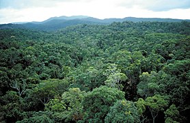 Cairns Queensland