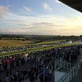 Image 12Epsom Downs, a racecourse which hosts The Derby annually. One of four in the county. (from Portal:Surrey/Selected pictures)