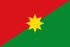 Bandera de Casanare