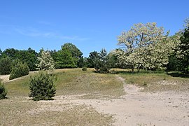 Sandaufschüttung mit Trockenrasen